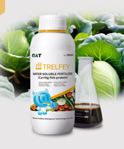 Amino Acid Peptides Liquid