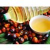 Natural Refined Red Palm Oil