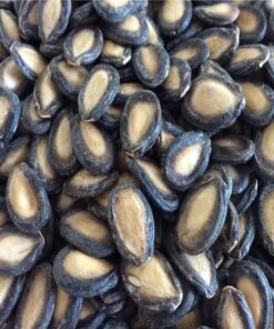 Black Watermelon Seed