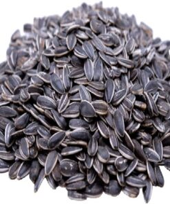 Sunflower Seeds