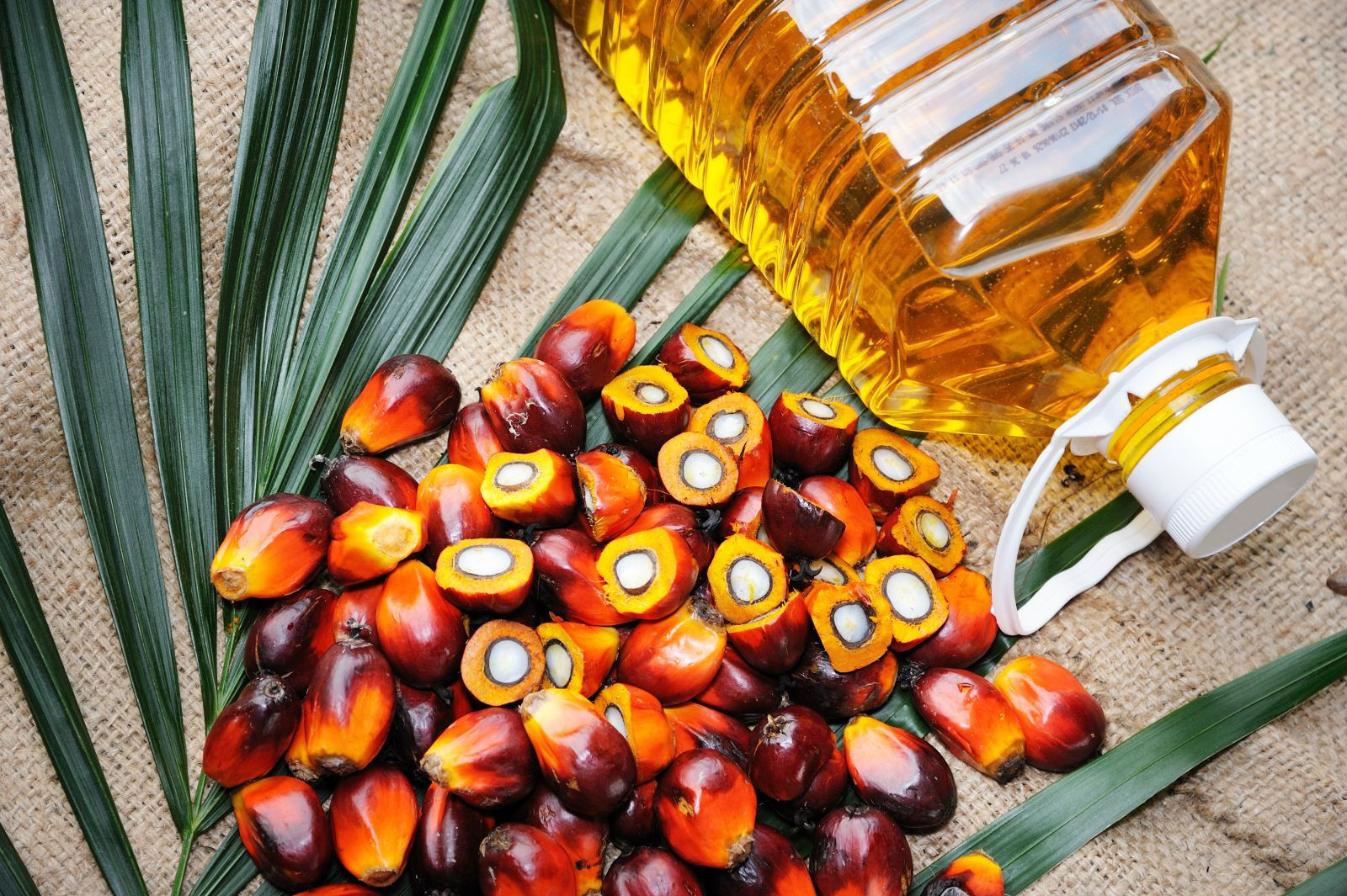 pa Refined Palm Oil