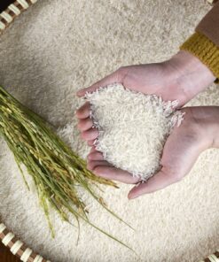 JASMINE RICE PERFUMED FRAGRANT AROMATIC LONG GRAIN RICE