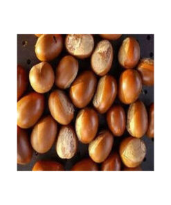 Raw shea nuts available in bulk
